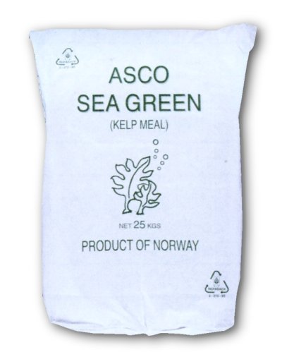 北欧・カナダ産海藻粉末｜アスコ・シーグリーン｜14-40メッシュ【25kg】海のミネラルで品質向上 [Kelp Meal]【有機JAS適合資材】