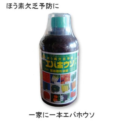 画像2: エバホウソAエキス〈アミノール化学研究所〉「ほう素欠乏予防・即効性葉面散布液肥」