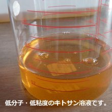 詳細写真2: バラとバラ科植物専用《低分子・低粘度「2％」キトサン溶液》【即効性】【1L容器】