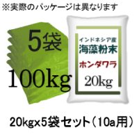 東南アジア産「海藻粉末（海藻ミール）」【100kg（20kgｘ5袋）】【有機JAS適合資材】【送料込み】 【日祭日の配送・時間指定不可】