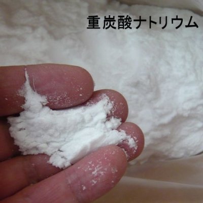 【重曹】炭酸水素ナトリウム【1kg】「特定防除資材」
