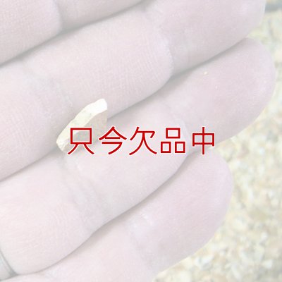 カナダ産・蟹殻（カニガラ）【2.5kg】
