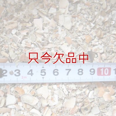カナダ産・蟹殻（カニガラ）【2.5kg】