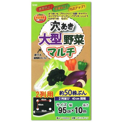 画像1: 【穴あき】大型野菜マルチ【2条用】（95cm×10m）穴の間隔40cm・約50株用【9240】