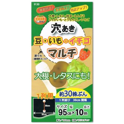 画像1: 【穴あき】豆・いも・イチゴマルチ【1条用】（95cm×10m）穴の間隔30cm・約30株用【9130】