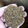 画像1: 肥料用-魚粉（N7-P7）【1.5kg】【動物性チッソ補給・アミノ酸肥料・魚かす】 (1)