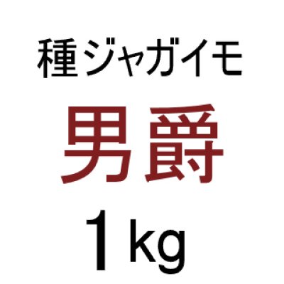 （馬鈴薯）種ジャガイモ【男爵薯】