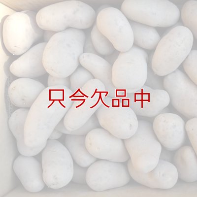 （馬鈴薯）種ジャガイモ【メークイン】