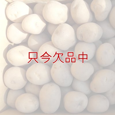 （馬鈴薯）種ジャガイモ【男爵薯】