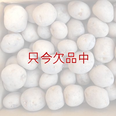 画像3: [完売][次回2026年12月より予約開始いたします]（馬鈴薯）種ジャガイモ【キタアカリ】【1kg】ダントツのビタミンC含有量