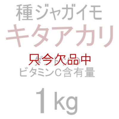 画像2: [完売][次回2026年12月より予約開始いたします]（馬鈴薯）種ジャガイモ【キタアカリ】【1kg】ダントツのビタミンC含有量