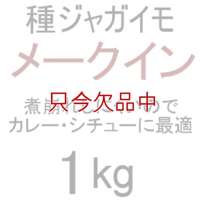 （馬鈴薯）種ジャガイモ【メークイン】