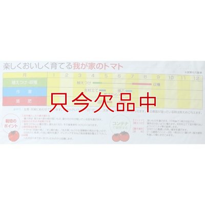 画像4: [値下げ]トマトの土《甘くて、美味しいトマトづくり》家庭園芸用培養土【14L】