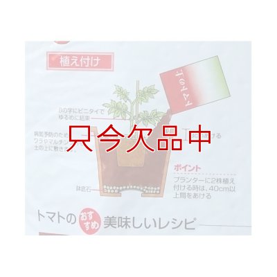 画像2: [値下げ]トマトの土《甘くて、美味しいトマトづくり》家庭園芸用培養土【14L】