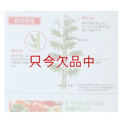画像3: [値下げ]トマトの土《甘くて、美味しいトマトづくり》家庭園芸用培養土【14L】