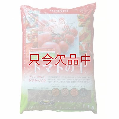 トマトの土