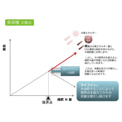 画像4: 【腐植酸入り液肥】機能性ハイブリッド液肥『ライフイン』(1-10-6-cao7)【20kg】【日祭日の配送および時間指定不可】
