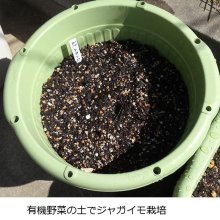 詳細写真1: 野菜もできる深型プランター「楽々菜園」【380丸型】容量：15L （貯水機能付き）