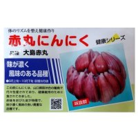 [予約受付中・2025年7月出荷品][山口県産]赤丸にんにく｜種子用大蒜｜りん片10片入※この商品は単独でご注文ください。