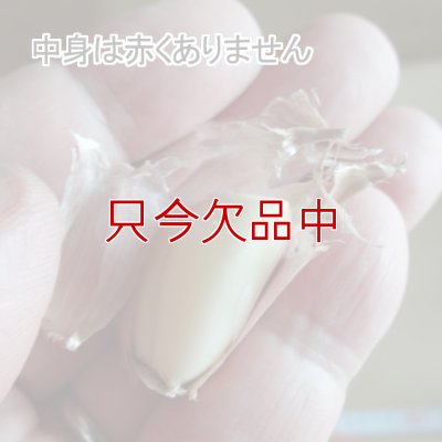 赤丸にんにく｜種子用大蒜｜りん片10球入