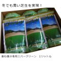 [期限切れのため見切り処分]重ね播きで一年中グリーンの芝生｜西洋芝の種：J.オーバーシードDX（エバーグリーン用）【1リットル袋入り】約10平方ｍ用