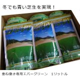 [期限切れのため見切り処分]重ね播きで一年中グリーンの芝生｜西洋芝の種：J.オーバーシードDX（エバーグリーン用）【1リットル袋入り】約10平方ｍ用