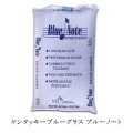 【西洋芝種子】ケンタッキーブルーグラス｜ブルーノート【22.5kg】【寒地型】