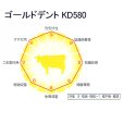 ゴールドデント｜KD580