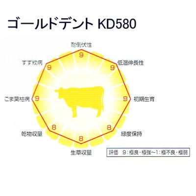 ゴールドデント｜KD580