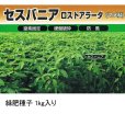 セスバニア ロストアラータ