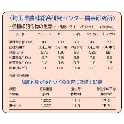 画像9: [値下げ]【緑肥・牧草種子】グリーンミレット｜ヒエ【中生（乾物収量多収）】【1kg】カネコ種苗製