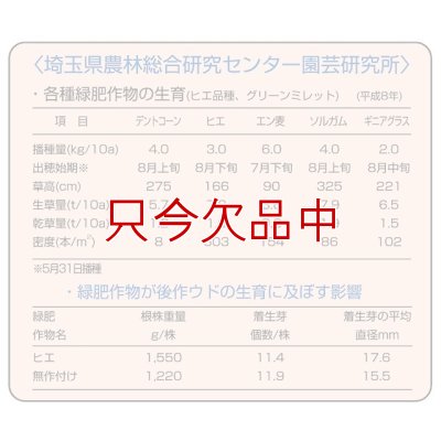 画像9: [値下げ]【緑肥・牧草種子】グリーンミレット｜ヒエ【中生（乾物収量多収）】【1kg】カネコ種苗製