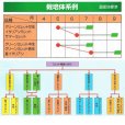 画像7: 【緑肥・牧草種子】グリーンミレット｜ヒエ【中生（乾物収量多収）】【1kg】カネコ種苗製