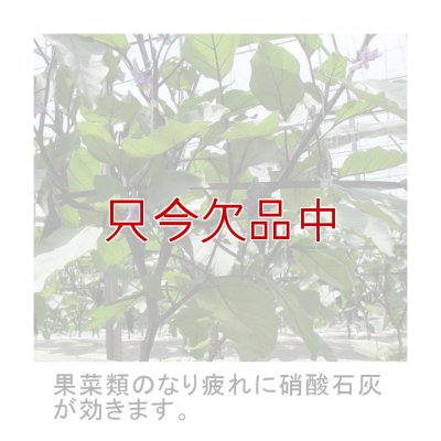 【粒状】硝酸石灰2水塩【5kg】硝酸カルシウム