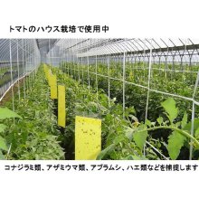 詳細写真1: 害虫捕獲用 粘着捕虫紙「ビタット トルシー（100x230mm）【日時指定不可】