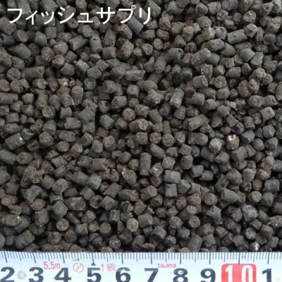 フィッシュサプリ【2kg】