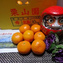 詳細写真2: 東南アジア産「海藻粉末」【20kg】海藻ミール（原藻：ホンダワラ）【日祭日の配送・時間指定不可】