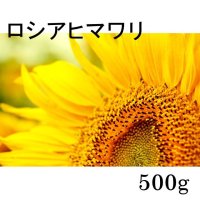 【景観用】ロシアヒマワリ｜巨大輪咲き｜草丈200cm【500g入り/約500平方ｍ分】カネコ種苗ワイルドフラワー