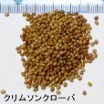 画像4: クリムソンクローバ｜マメ科｜景観形成｜家庭園芸・実験栽培用【100g】【送料無料】【時間指定不可】