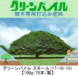 画像1: [値下げ]【個人宛配送OK】グリーンパイル スモール（17-10-10）【100g/70本/箱】業務用-棒状-樹木専用打込肥料【時間指定OK・夜間OK・離島OK】 (1)