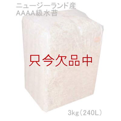 ニュージーランド産ミズゴケ[AAAA級]【3kg（240L）】