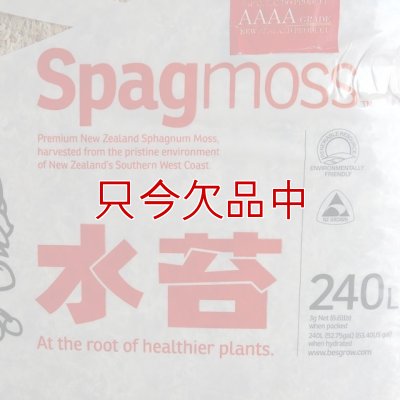 画像6: [値下げ]ニュージーランド産ミズゴケ[AAAA級]【3kg（240L）】Sphagnum moss「プレミアム水苔」