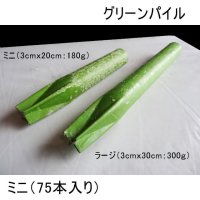 【個人宛配送OK】グリーンパイル ミニ（17-10-10）【180g/75本/箱】業務用-棒状-樹木専用打込肥料【時間指定OK・夜間OK・離島OK】