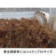 爬虫類飼育には4Sサイズが人気です。