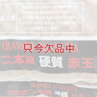 二本線赤玉土（茨城産硬質）