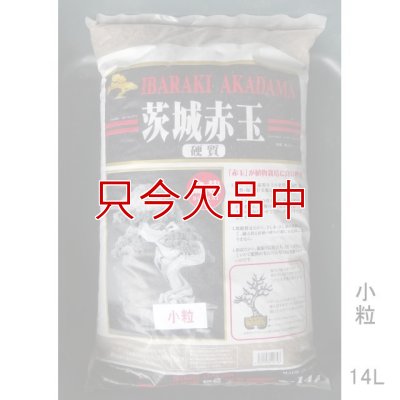 二本線赤玉土（茨城産硬質）小粒