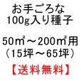 イタリアンライグラス種子100g