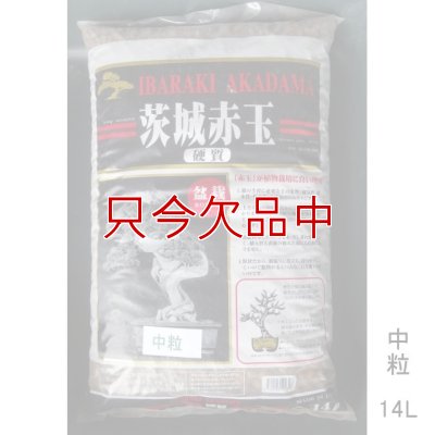 二本線赤玉土（茨城産硬質）中粒