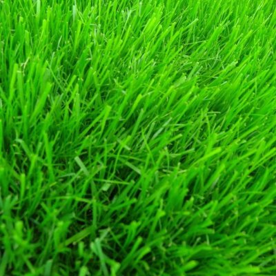 J.ガーデングラス(芝生の種)