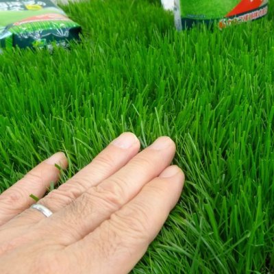 J.ガーデングラス(芝生の種)